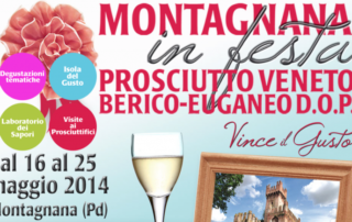 grafica Montagnana in festa 2014