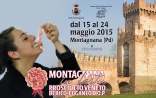 grafica Montagnana in Festa 2015